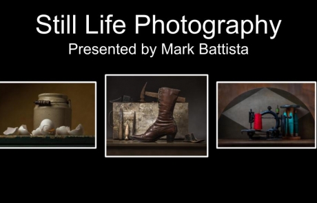 STILL LIFE presentation cover WORKSHOP
